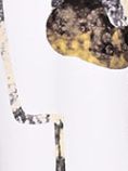Brown Patterned