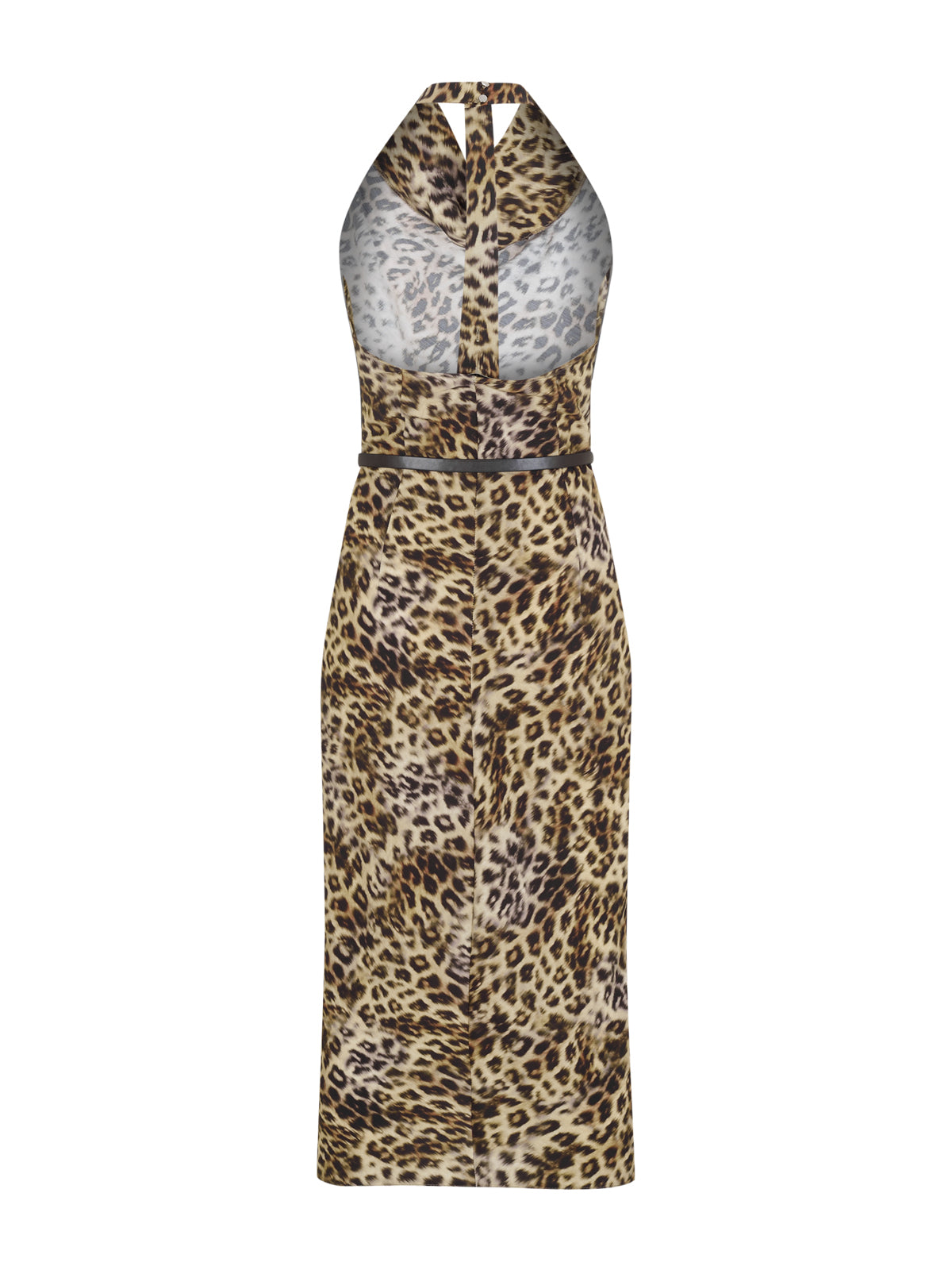 Leopar